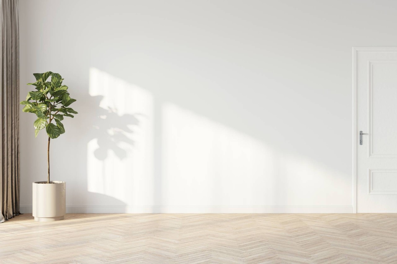 Potted Plant Against A White Wall on Herringbone Patterned Floors near Saint Michael, MN
